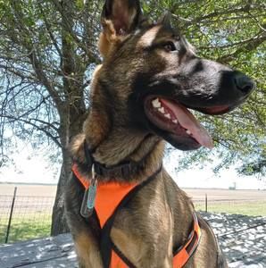 Meet your Posher, Trent